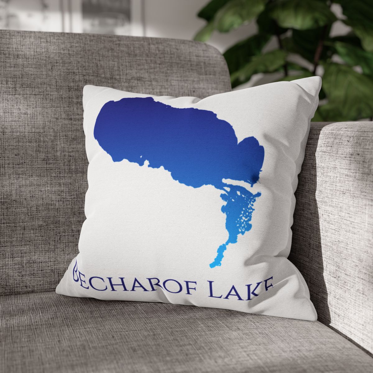 couch pillow