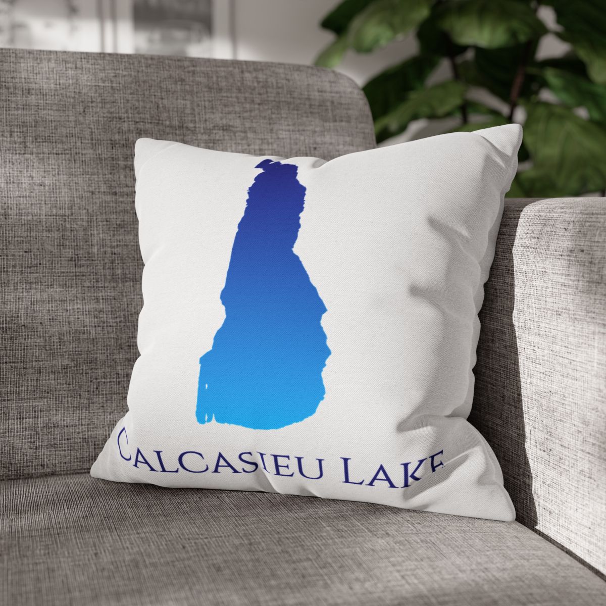 couch pillow
