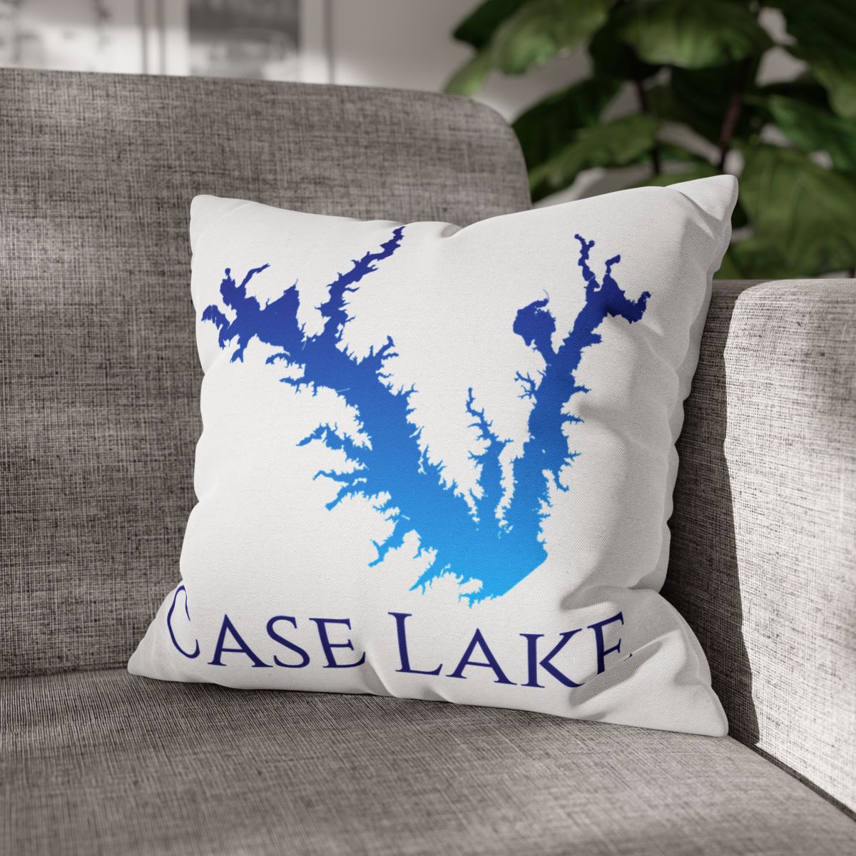 couch pillow