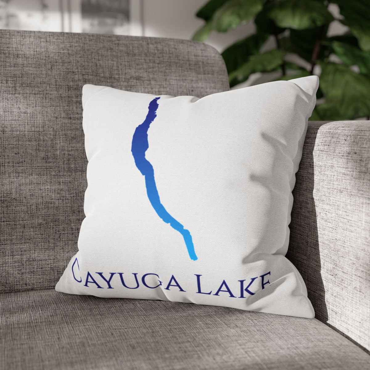 couch pillow