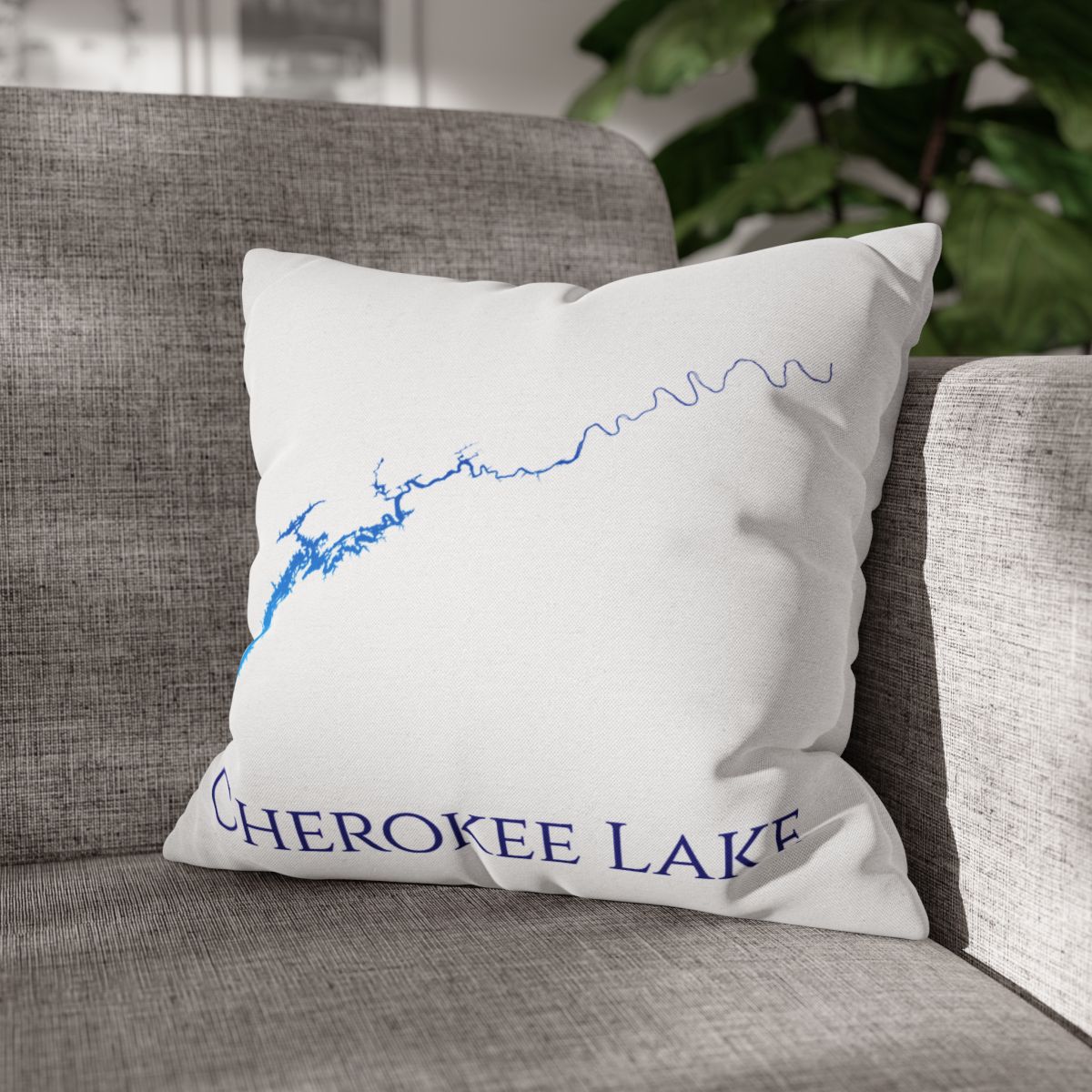 couch pillow