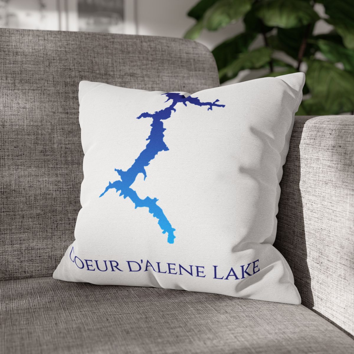 couch pillow