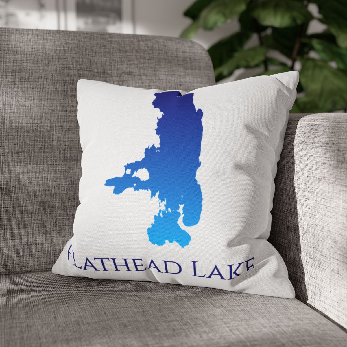 couch pillow