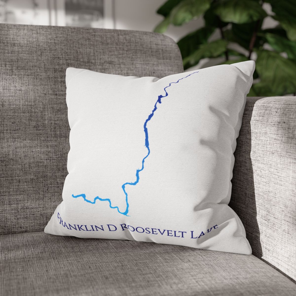 couch pillow