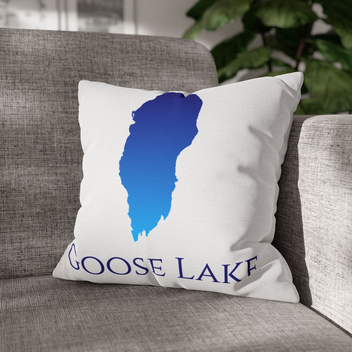 couch pillow