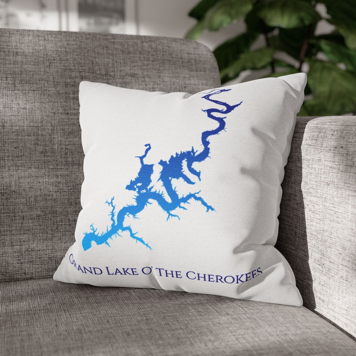 couch pillow