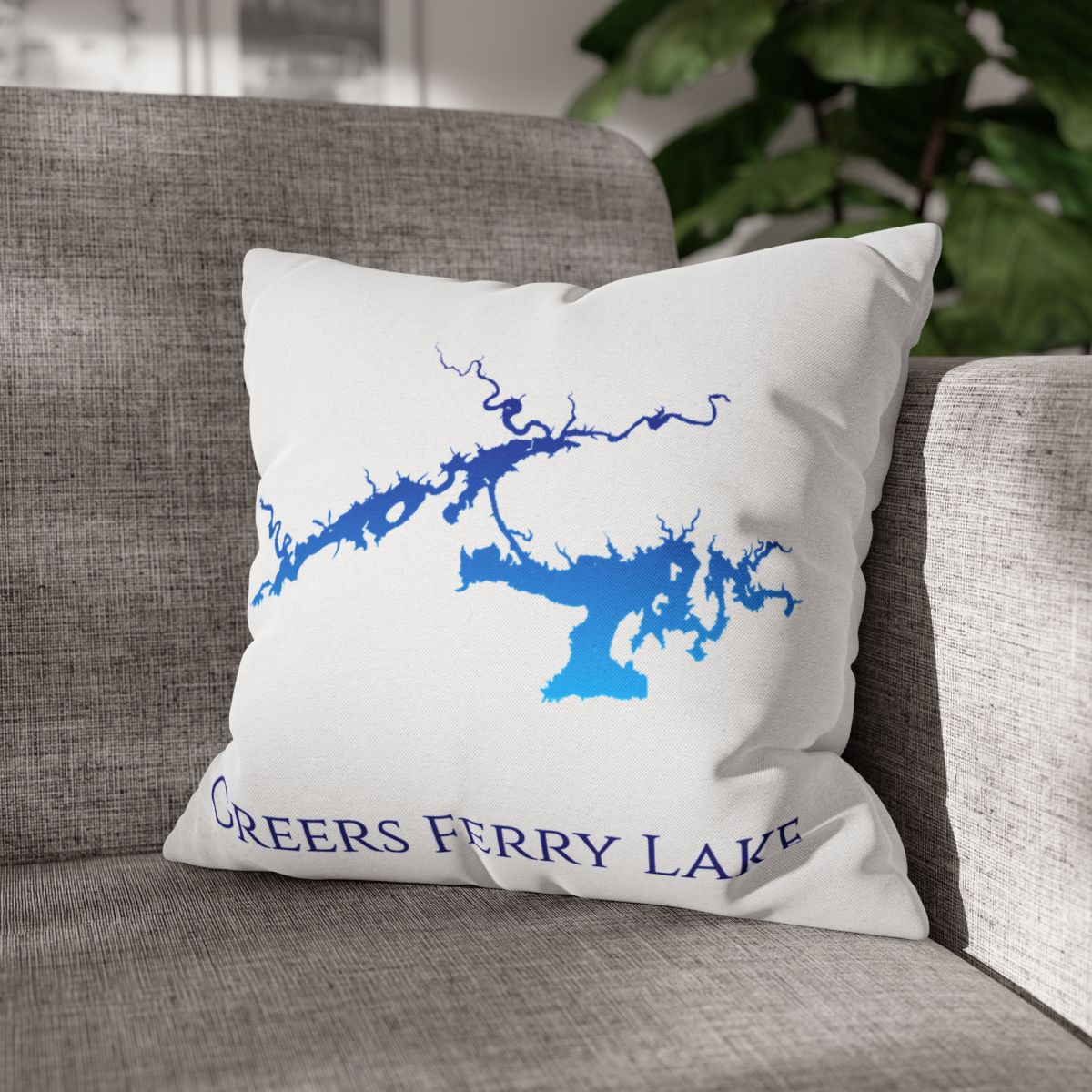 couch pillow