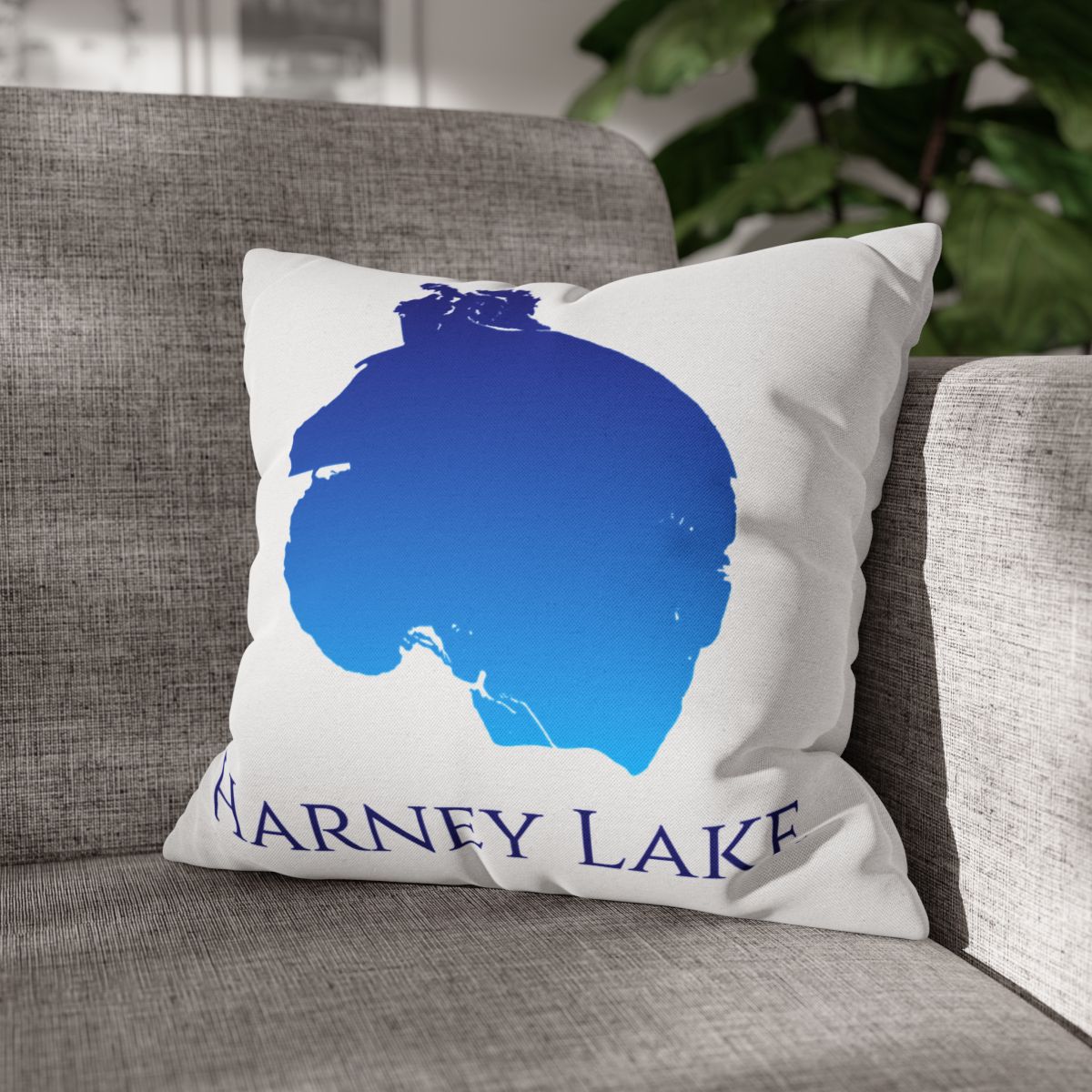 couch pillow