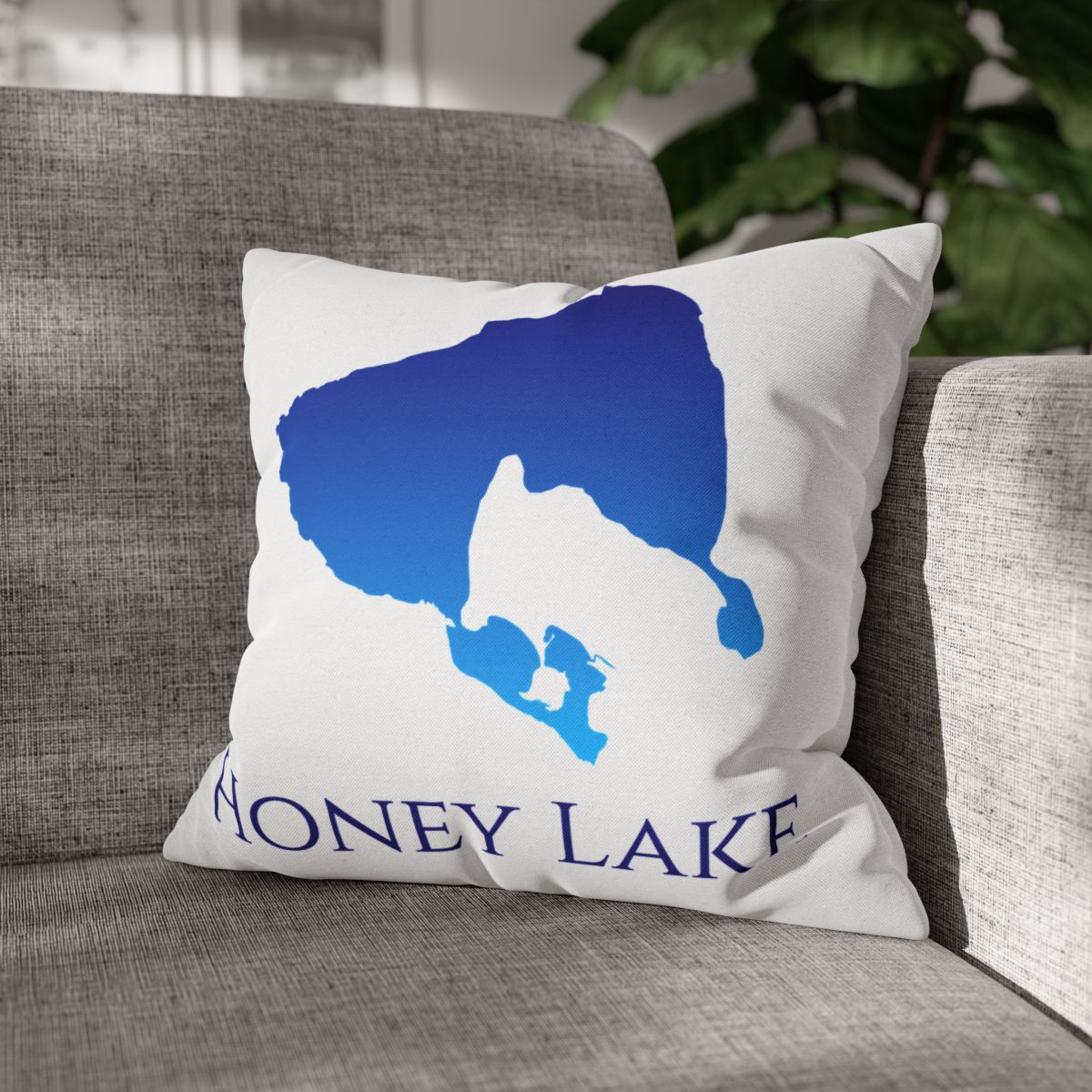 couch pillow