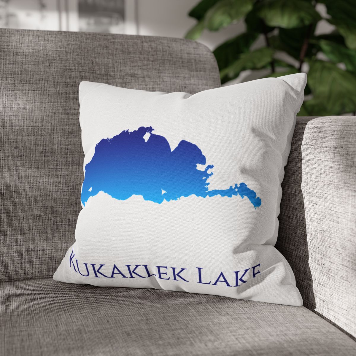 couch pillow