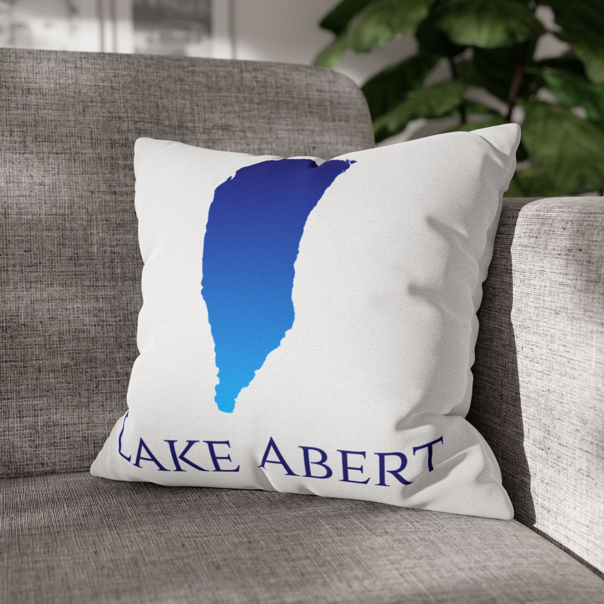 couch pillow