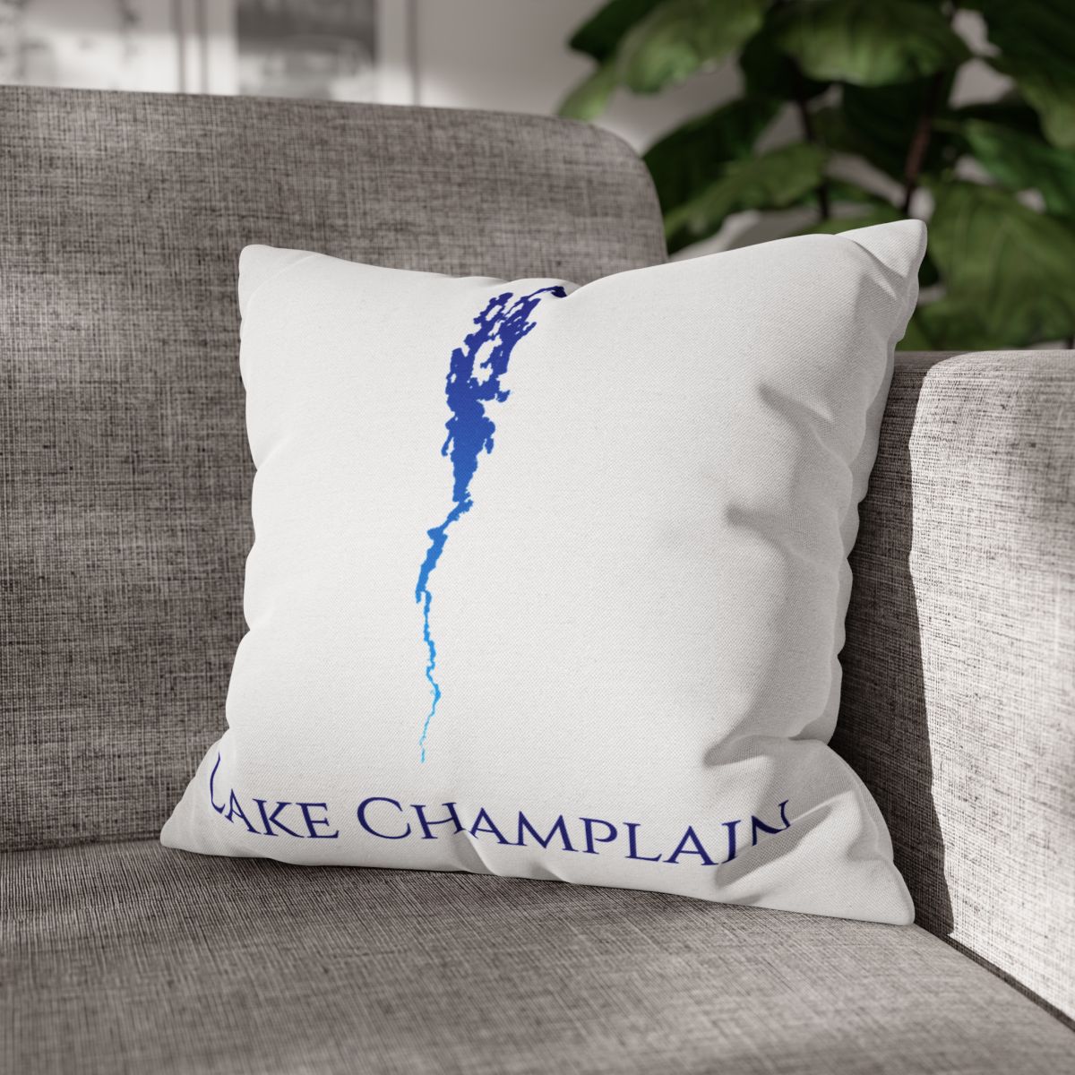 couch pillow