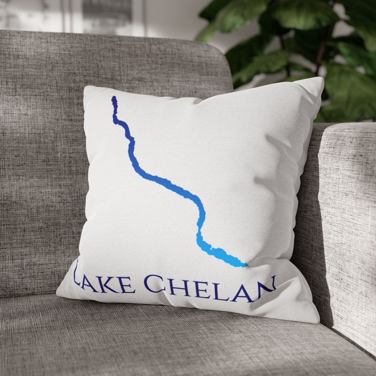 couch pillow