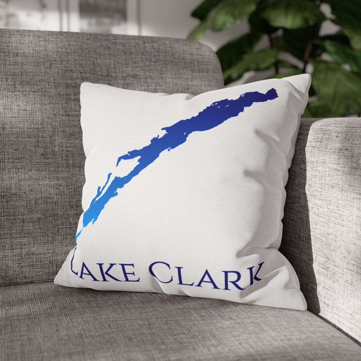 couch pillow