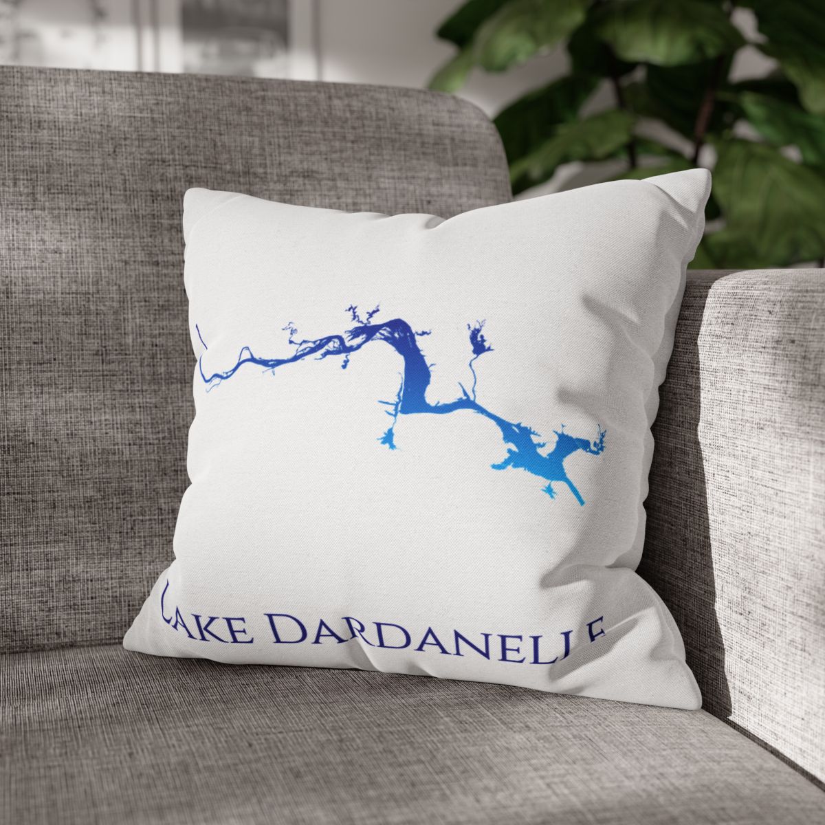 couch pillow