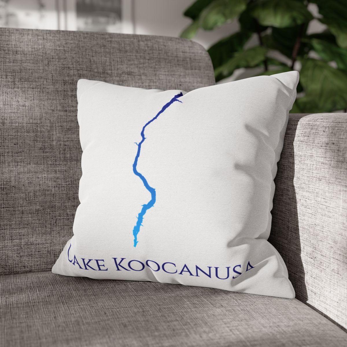couch pillow