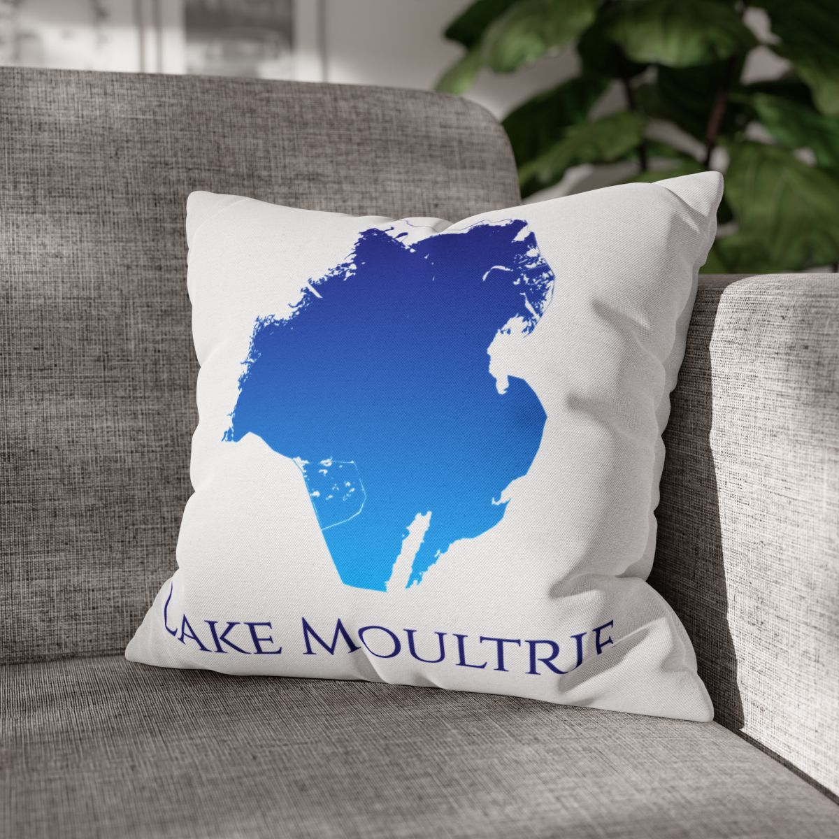 couch pillow