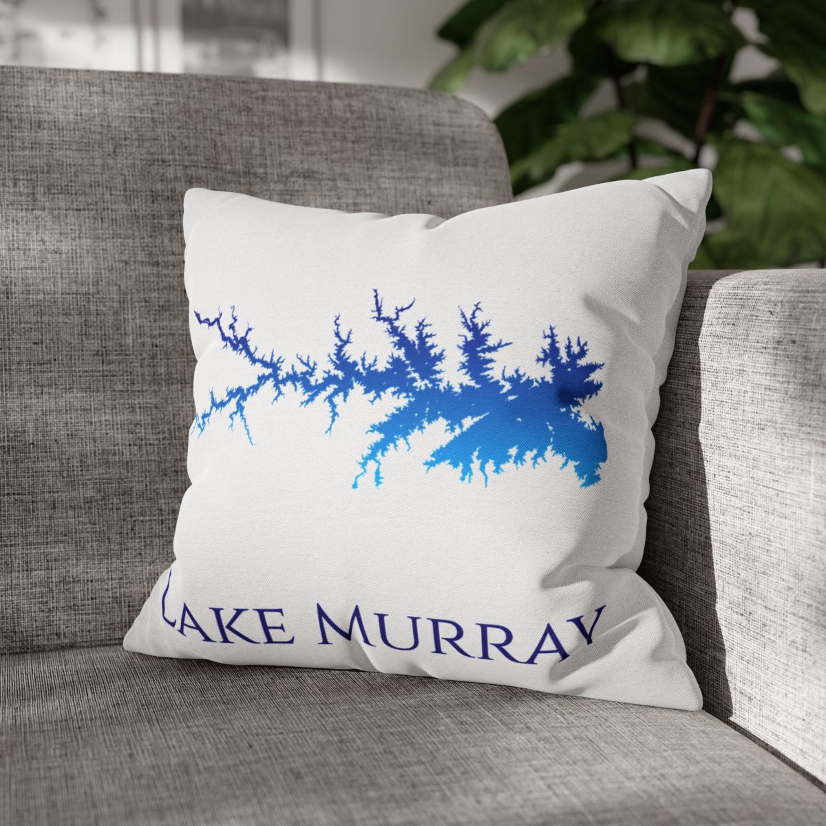 couch pillow