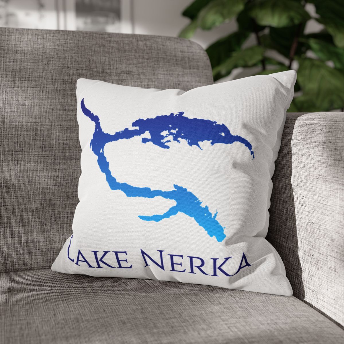 couch pillow