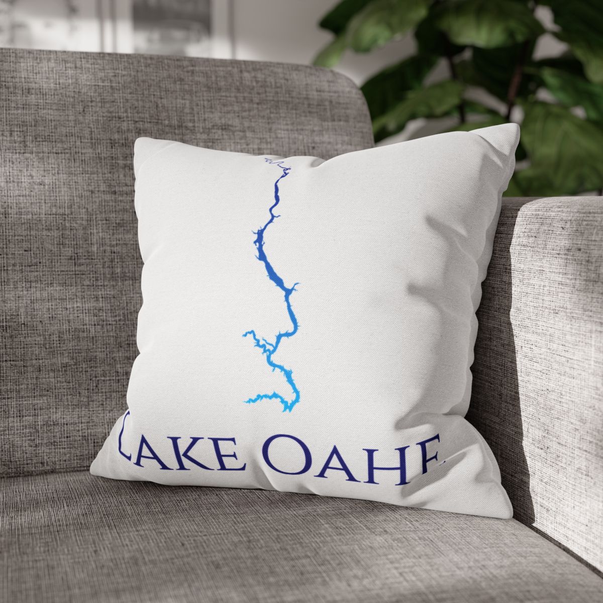 couch pillow