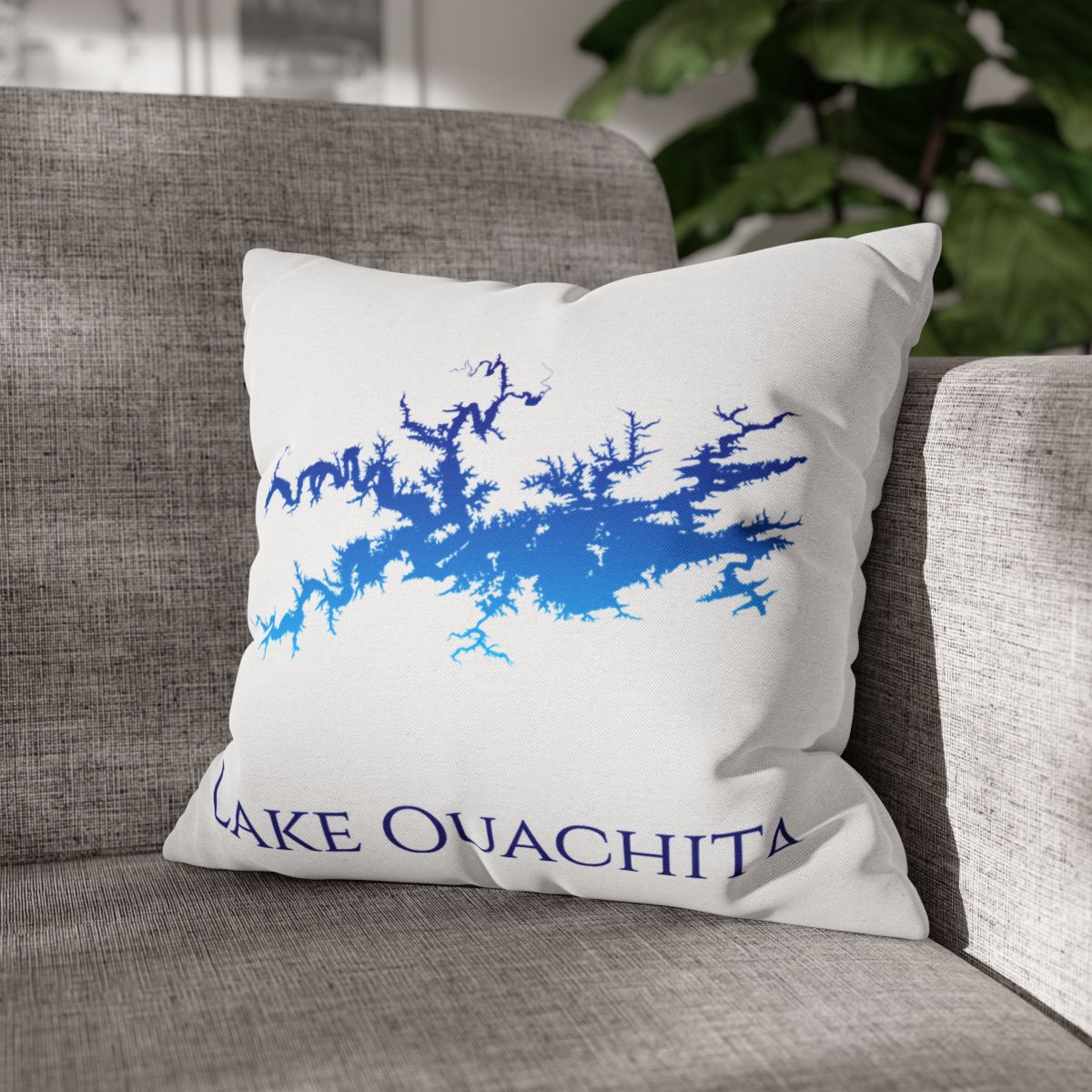 couch pillow