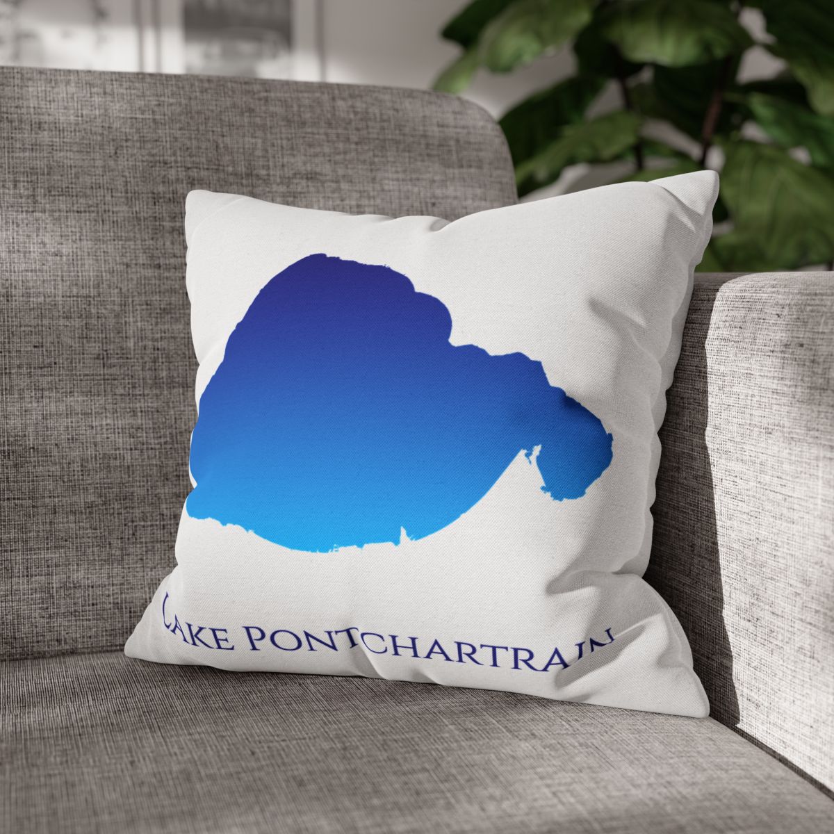 couch pillow