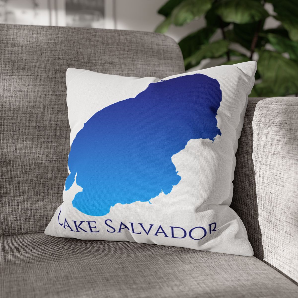 couch pillow
