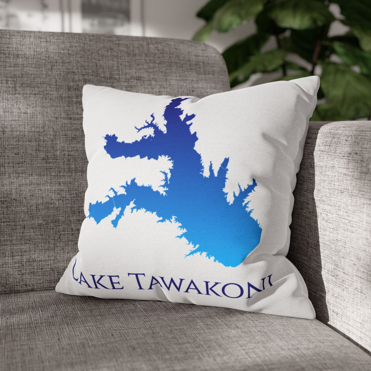 couch pillow