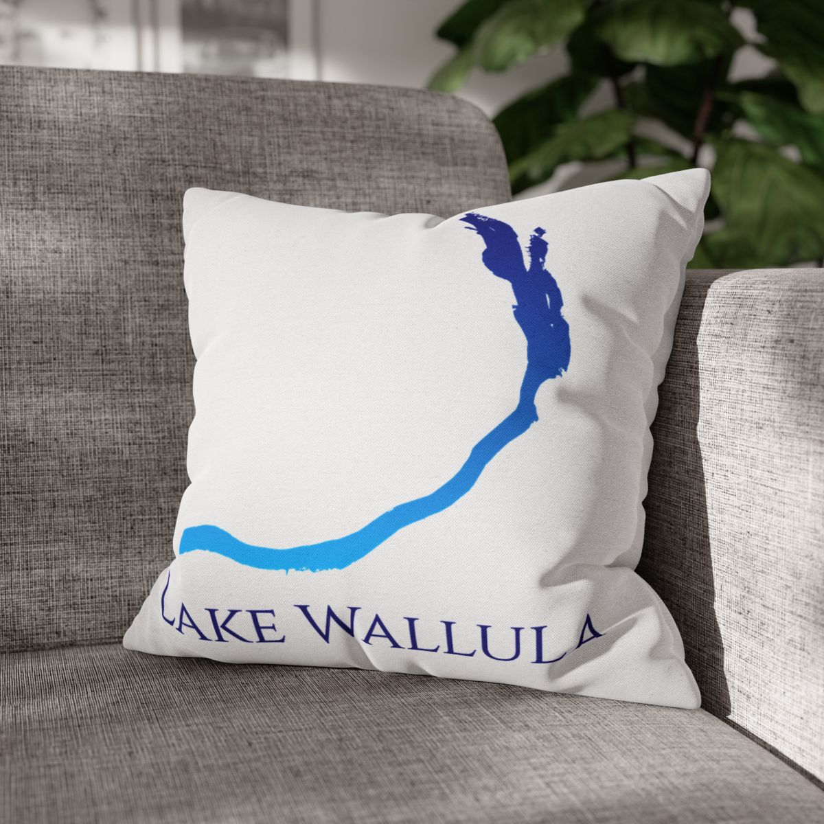 couch pillow