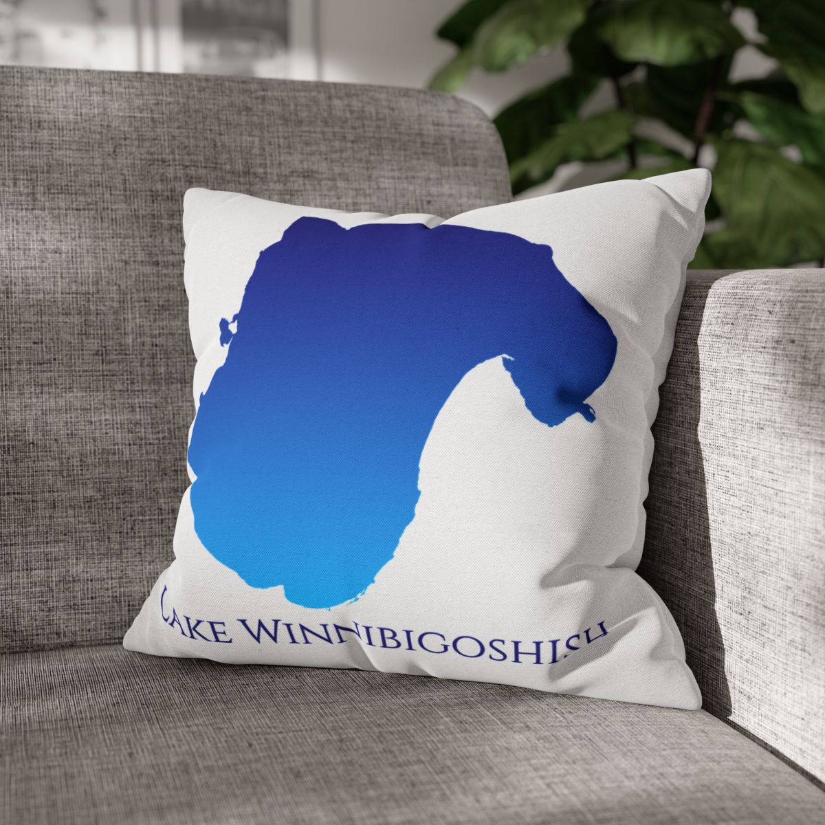 couch pillow
