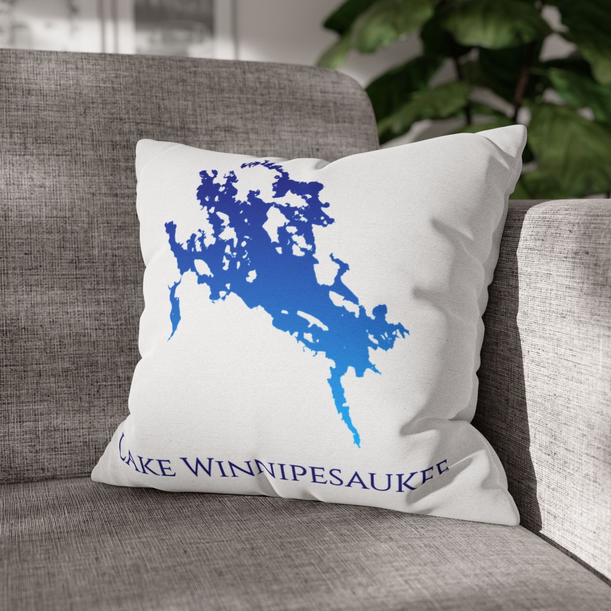 couch pillow