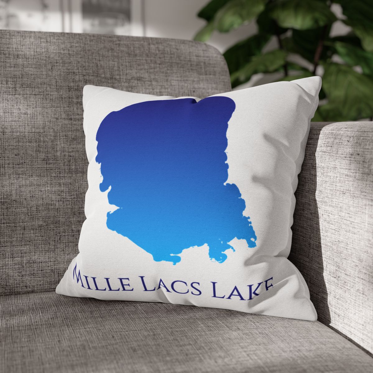 couch pillow
