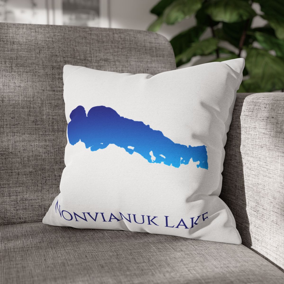 couch pillow