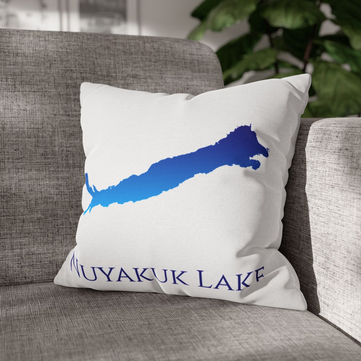 couch pillow