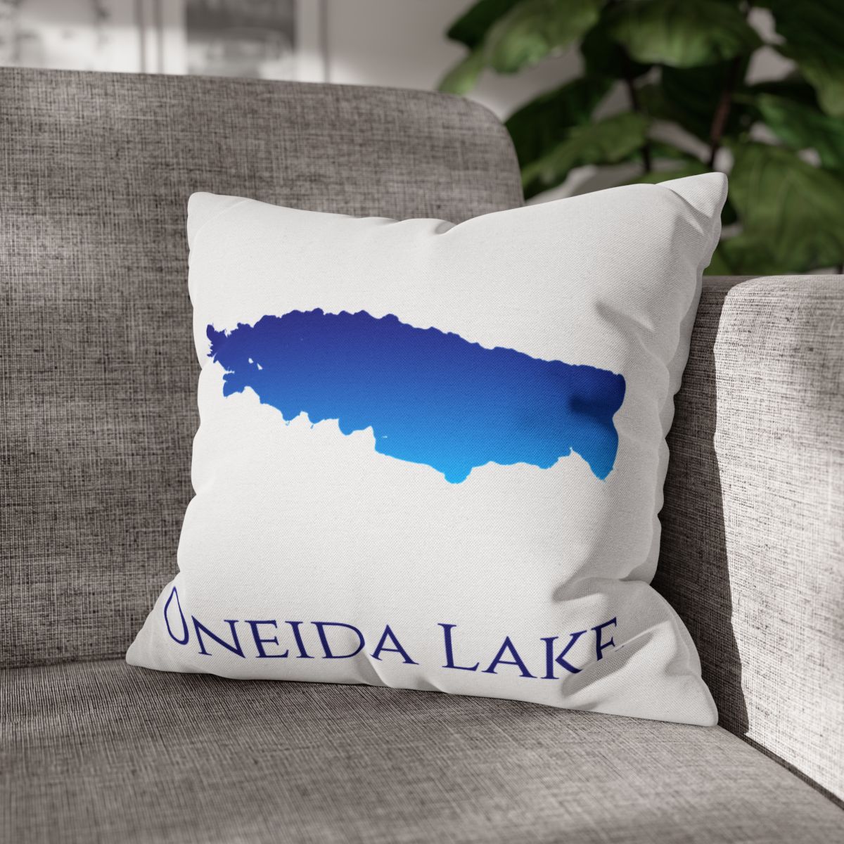 couch pillow