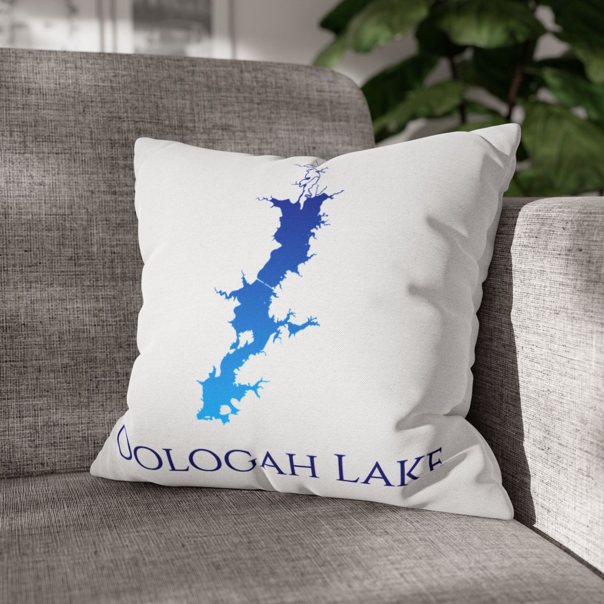 couch pillow