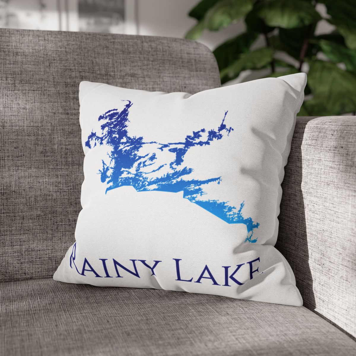 couch pillow