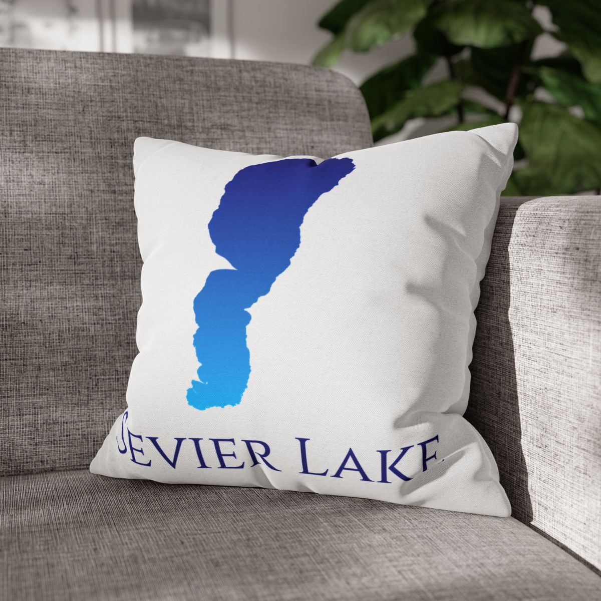 couch pillow