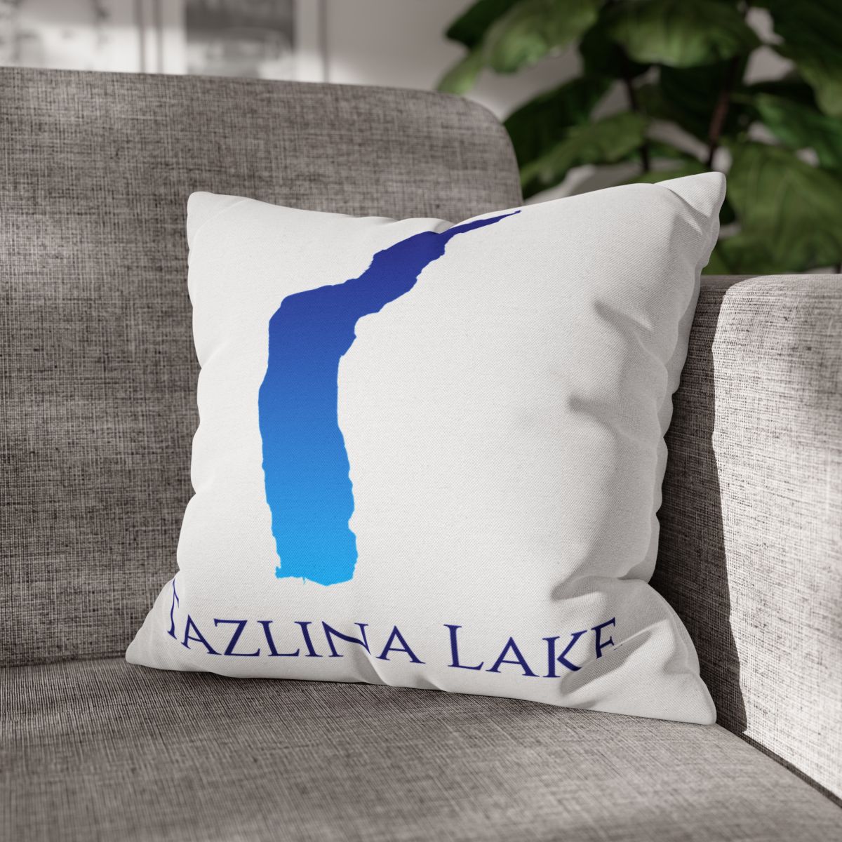 couch pillow