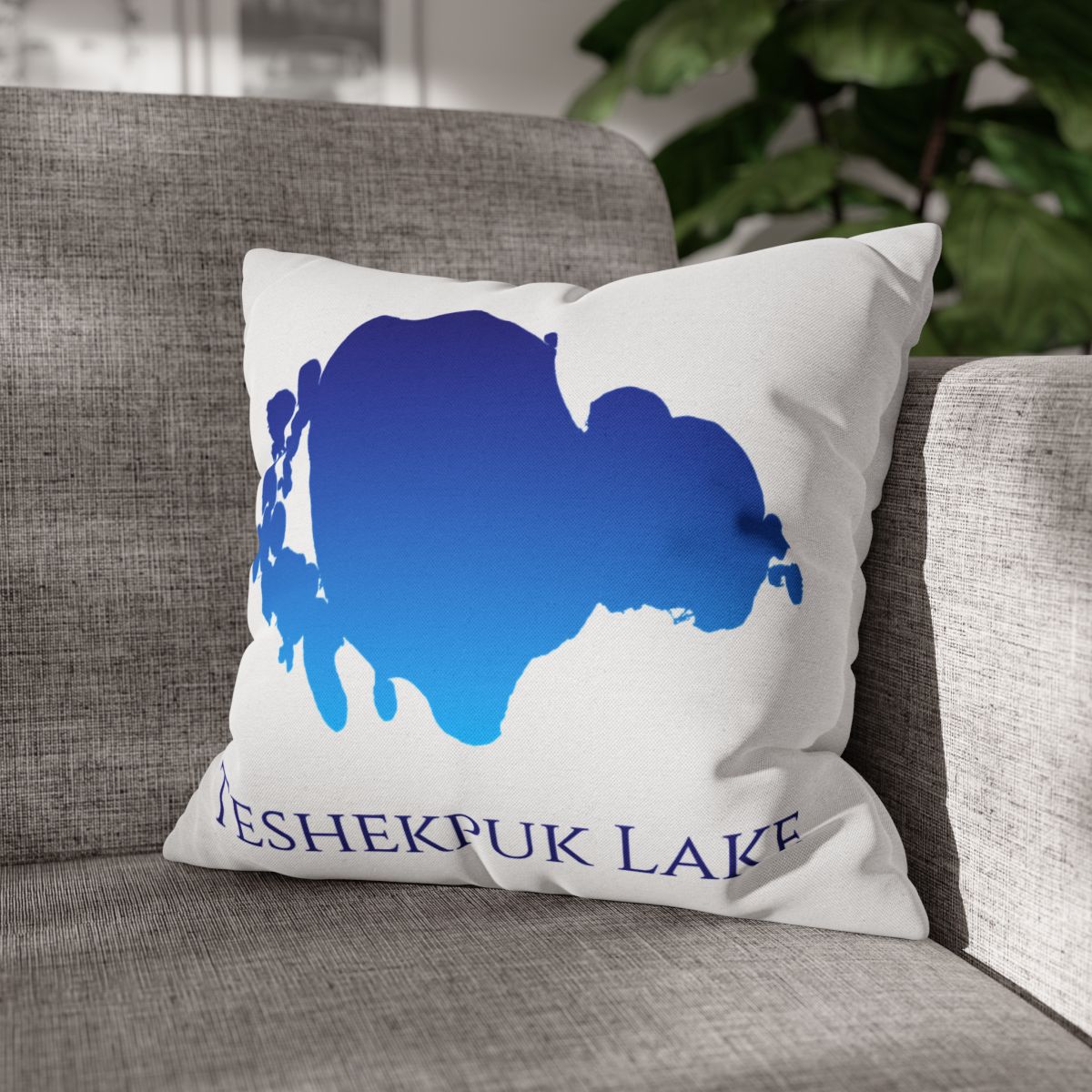 couch pillow