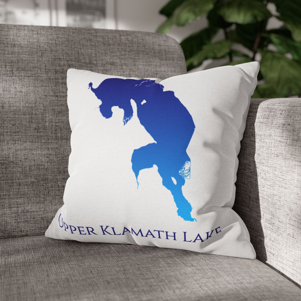 couch pillow