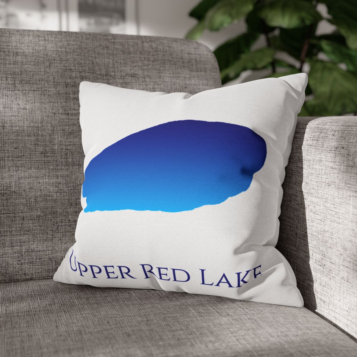 couch pillow