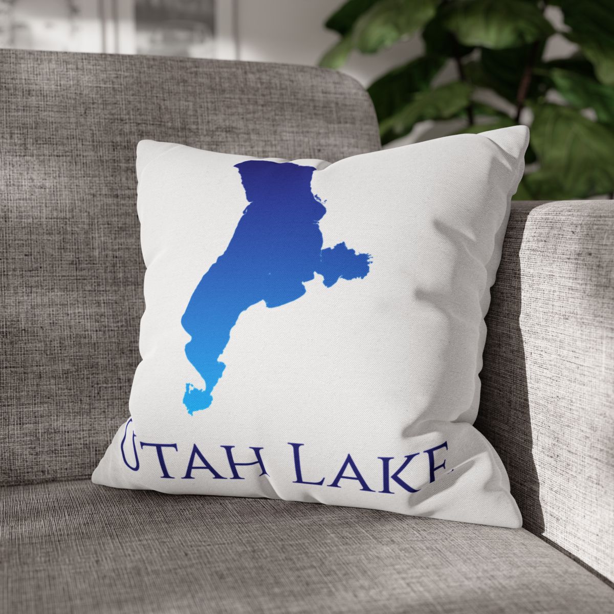 couch pillow