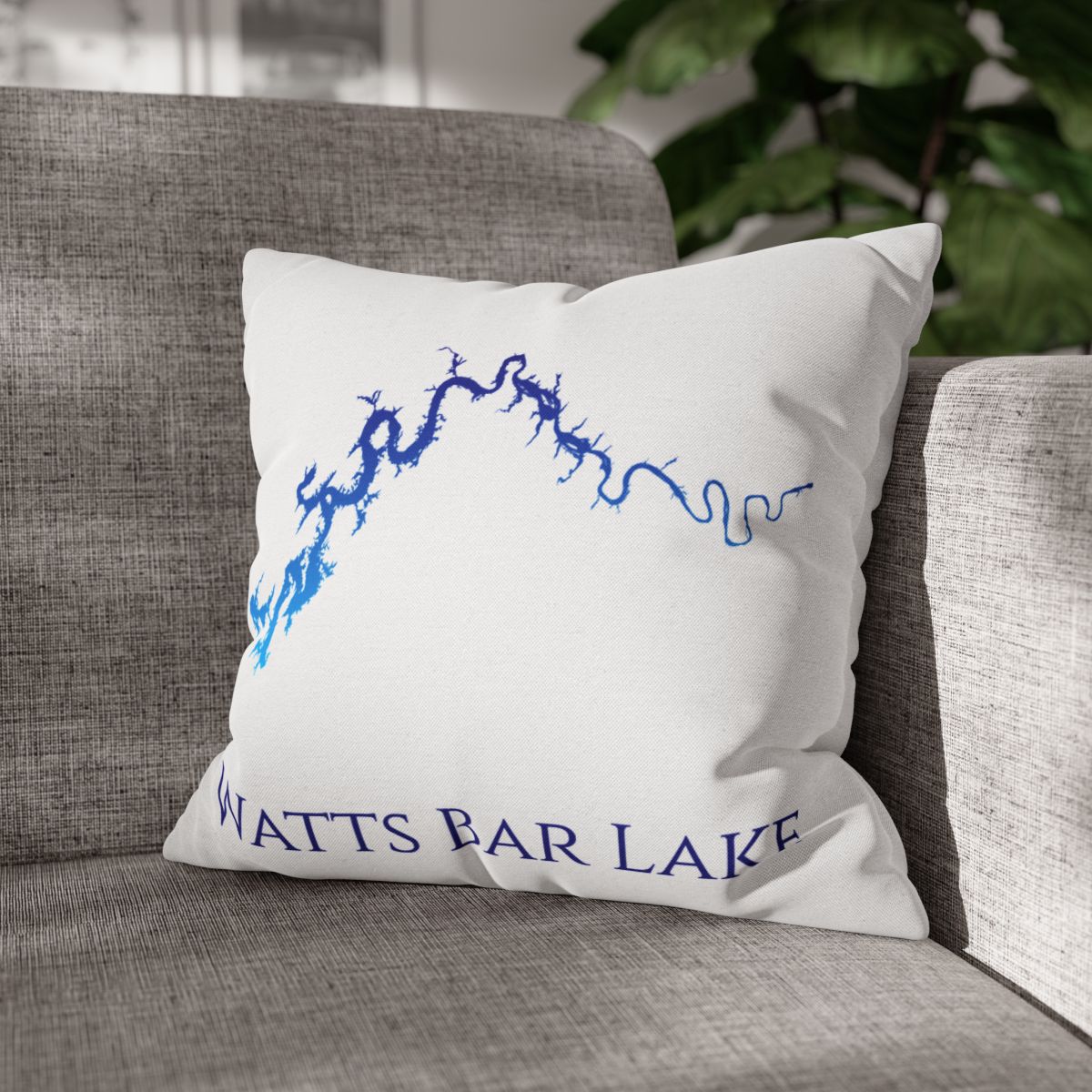 couch pillow