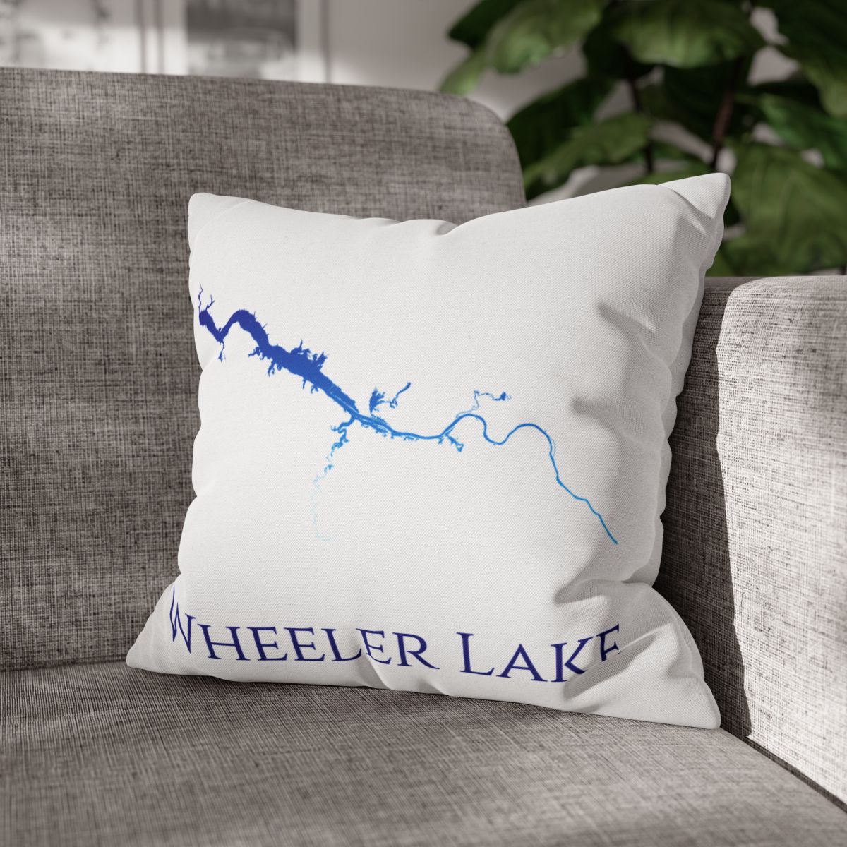 couch pillow