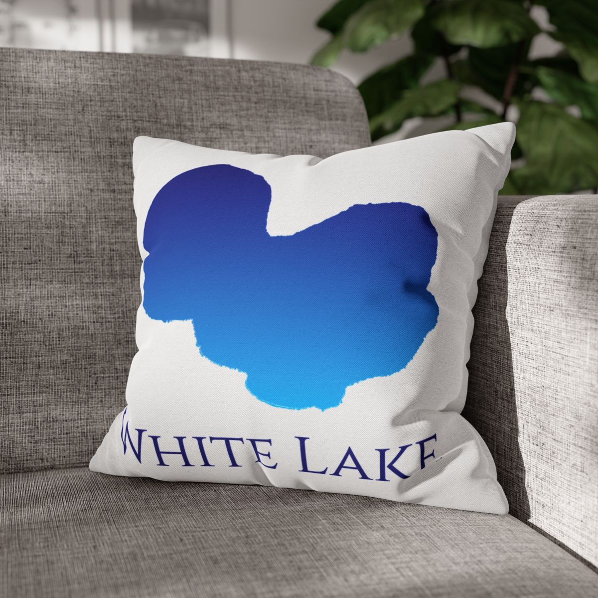 couch pillow