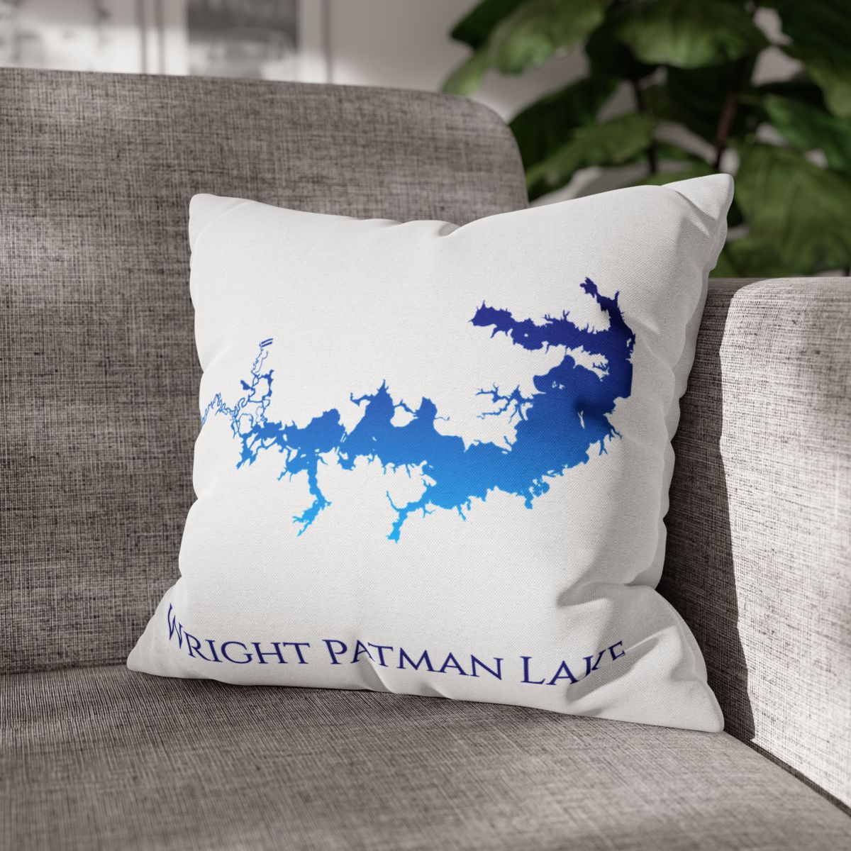 couch pillow
