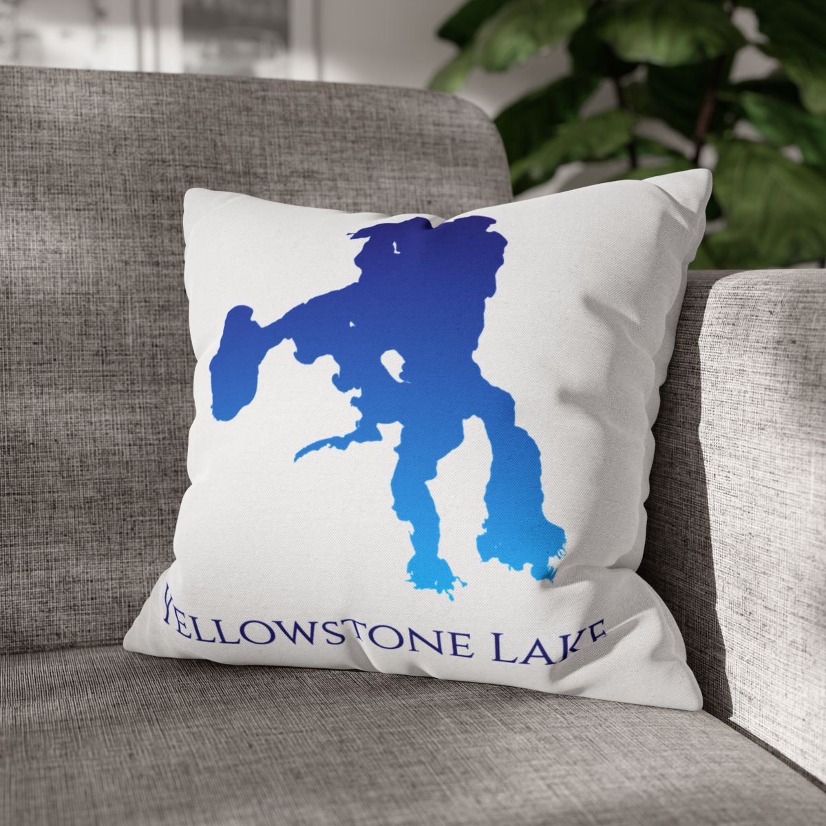 couch pillow