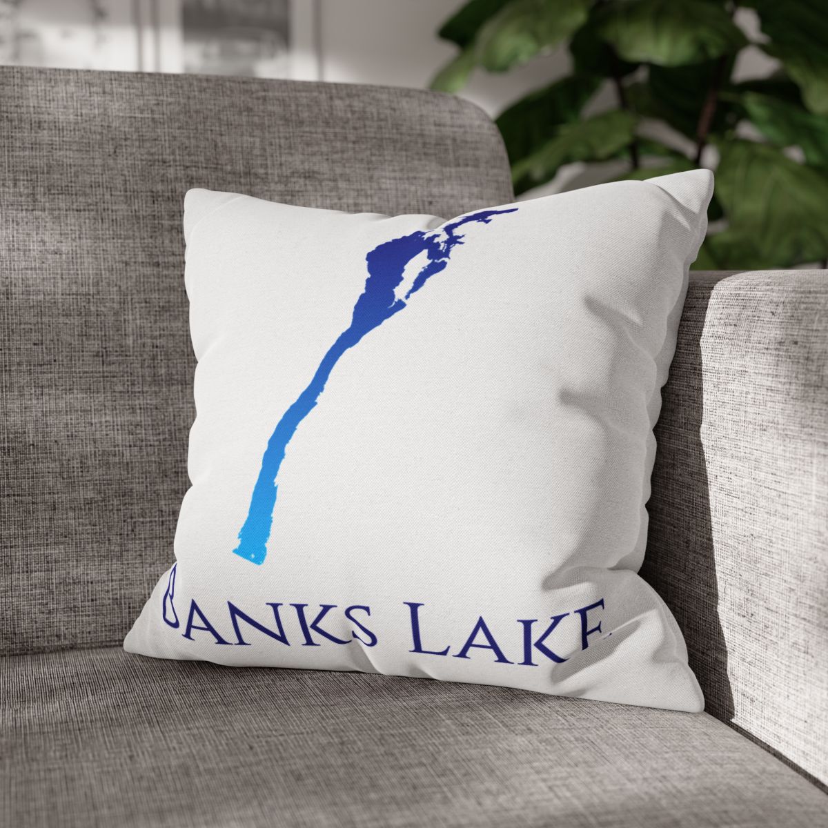 couch pillow
