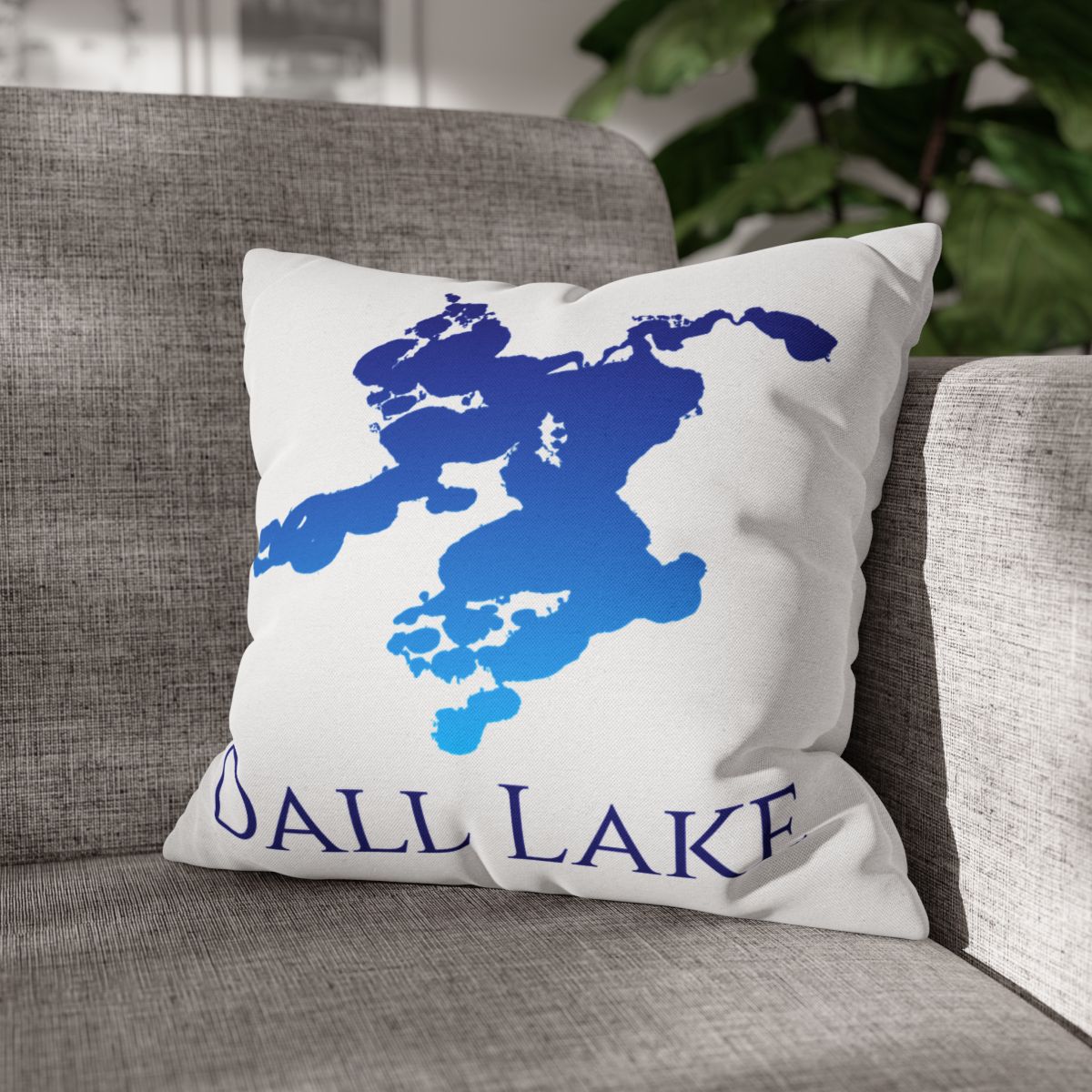 couch pillow